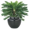 Artificial Plants