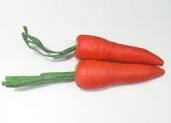 Artificial Vegitables