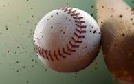 Baseball & Softball