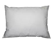Bed Pillows & Positioners