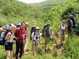 Camping & Hiking
