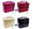 Cosmetic Cases