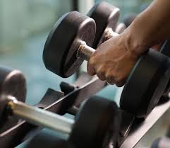 All Free Weights