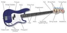 Guitar & Bass Accessories