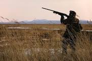 Hunting