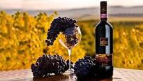 Italian Wine