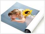 Poster & Prints
