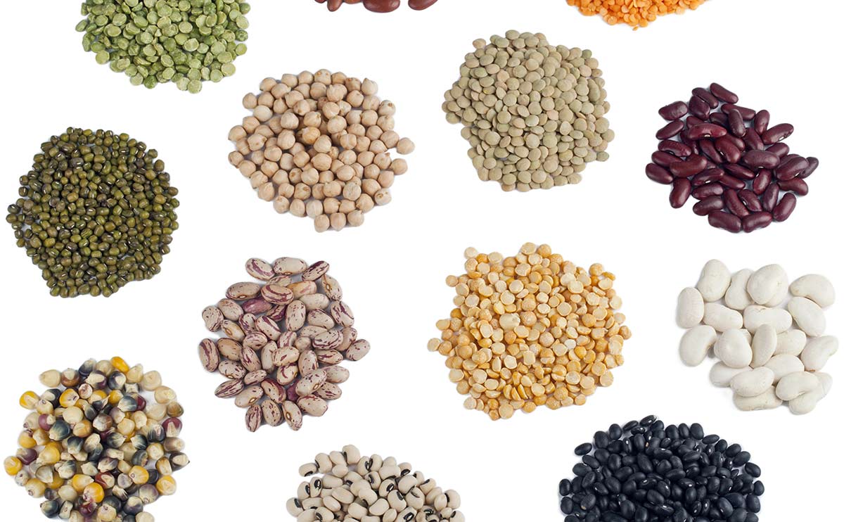 Variety of seeds