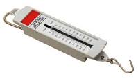 Spring Scale