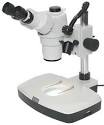 Stereo Microscopes