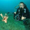 Underwater Photography